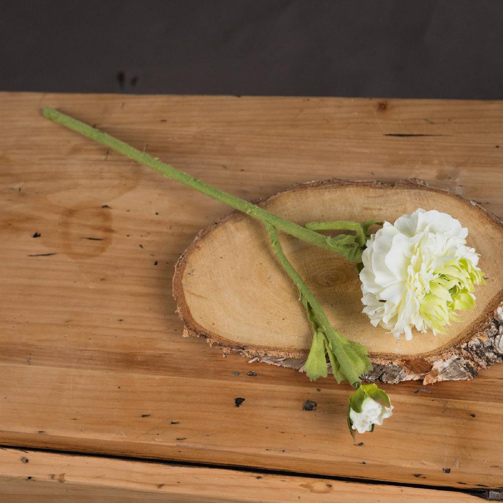 hill interiors Green Ranunculus Spray