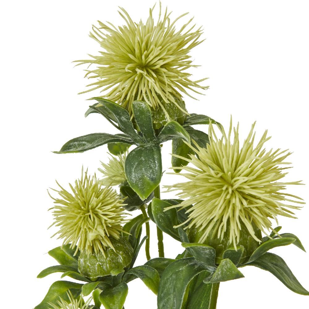 hill interiors Green Safflower Spray