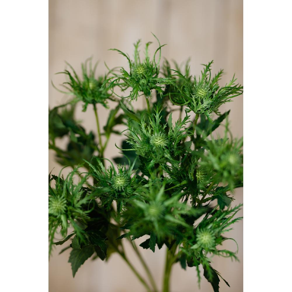 Hill Interiors Green Sea Holly Spray