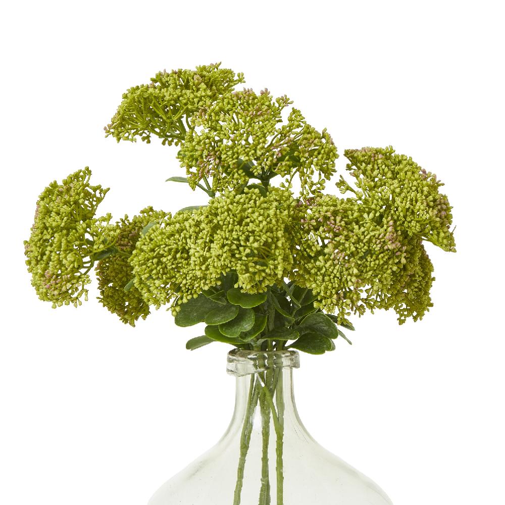 Hill Interiors Green Sedum Spray