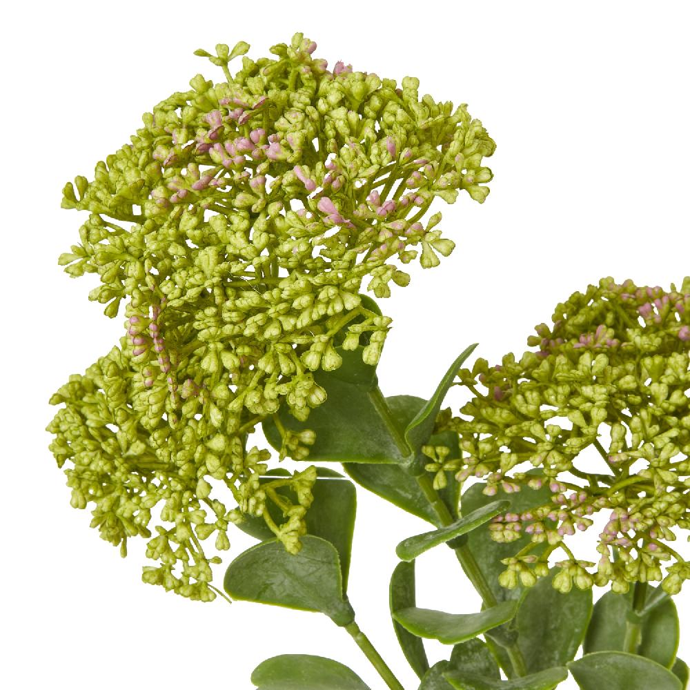 hill interiors Green Sedum Spray