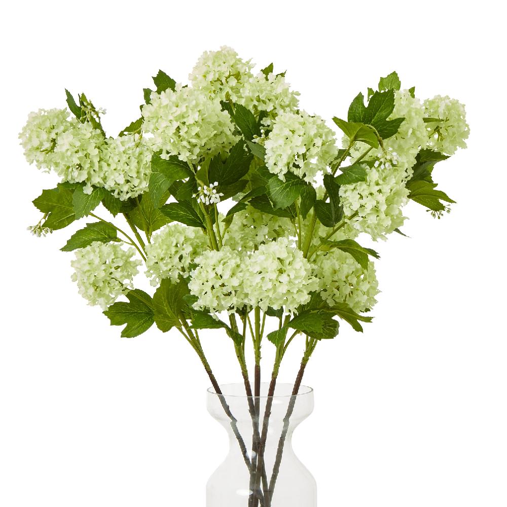 Hill Interiors Green Snowball Viburnum Spray