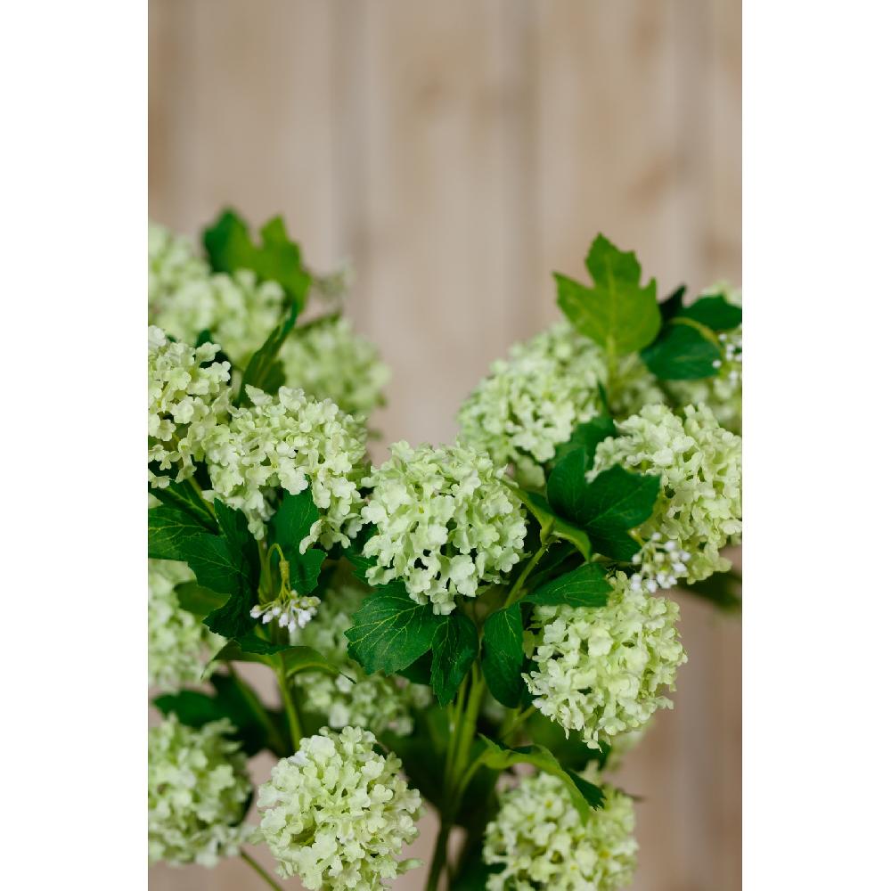 Hill Interiors Green Snowball Viburnum Spray