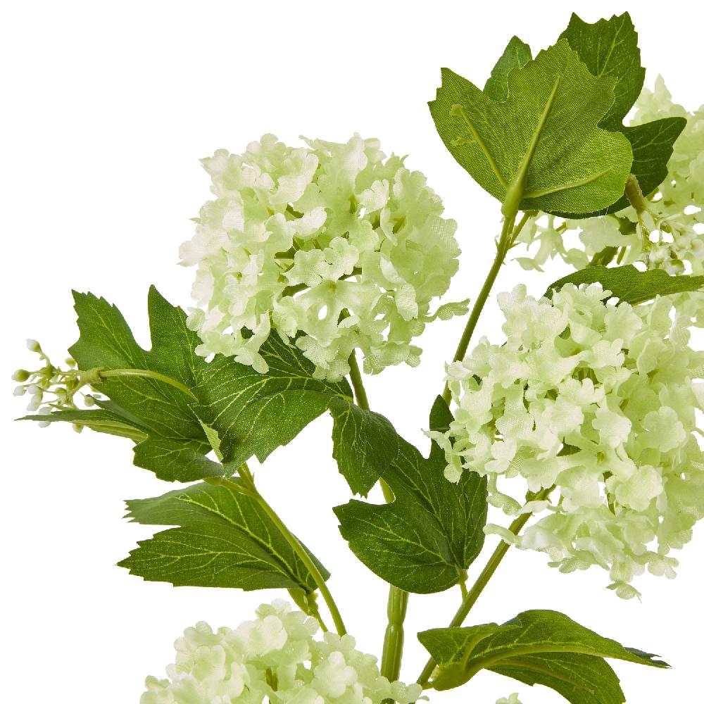 hill interiors Green Snowball Viburnum Spray
