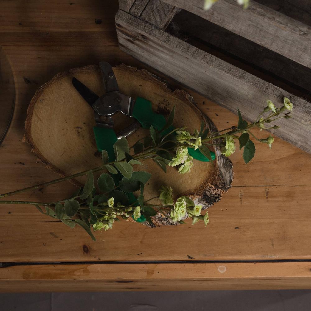 hill interiors Green Wild Meadow Rose