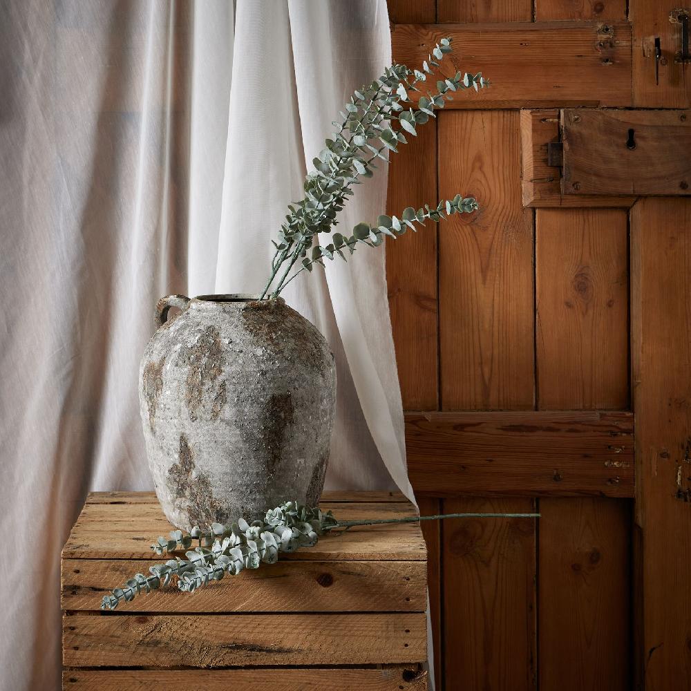 Hill Interiors Gunnii Blue Eucalyptus Spray