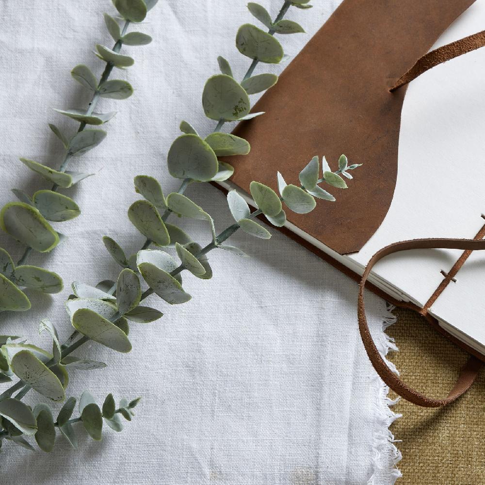 hill interiors Gunnii Blue Eucalyptus Spray