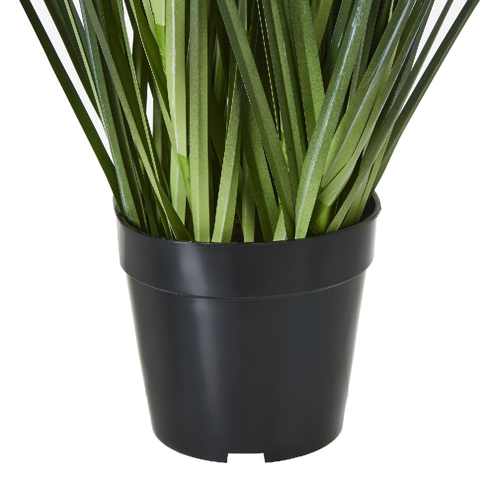 Hill Interiors Large Blue Agapanthus Plant In Pot