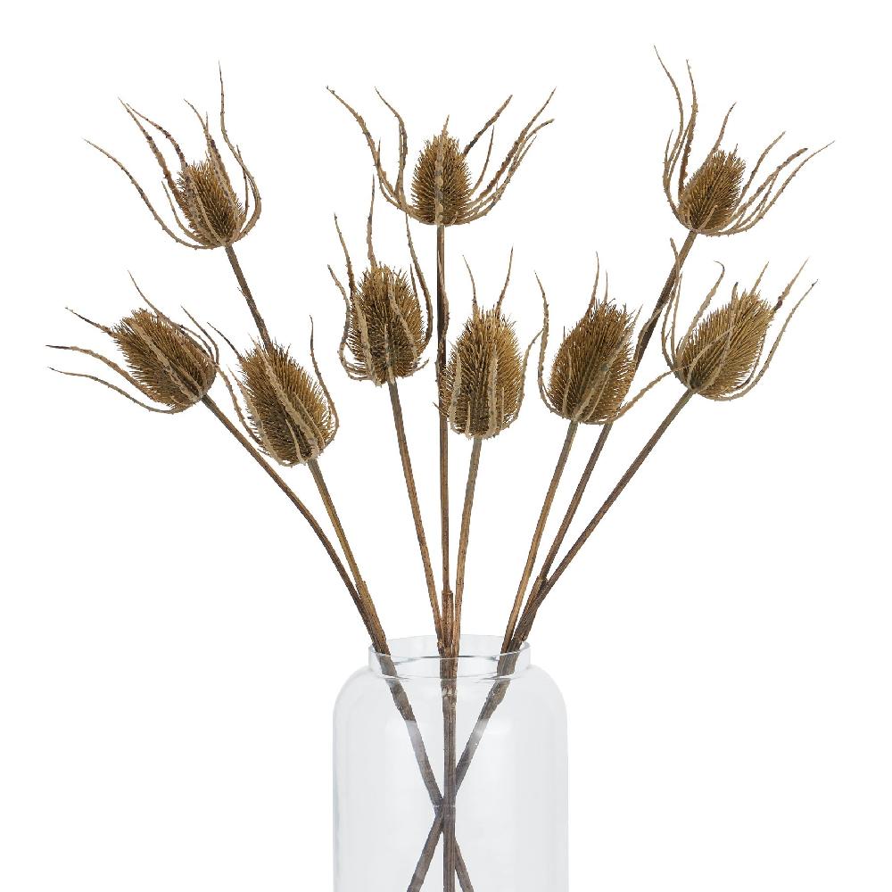 Hill Interiors Large Brown Triple Teasle Stem