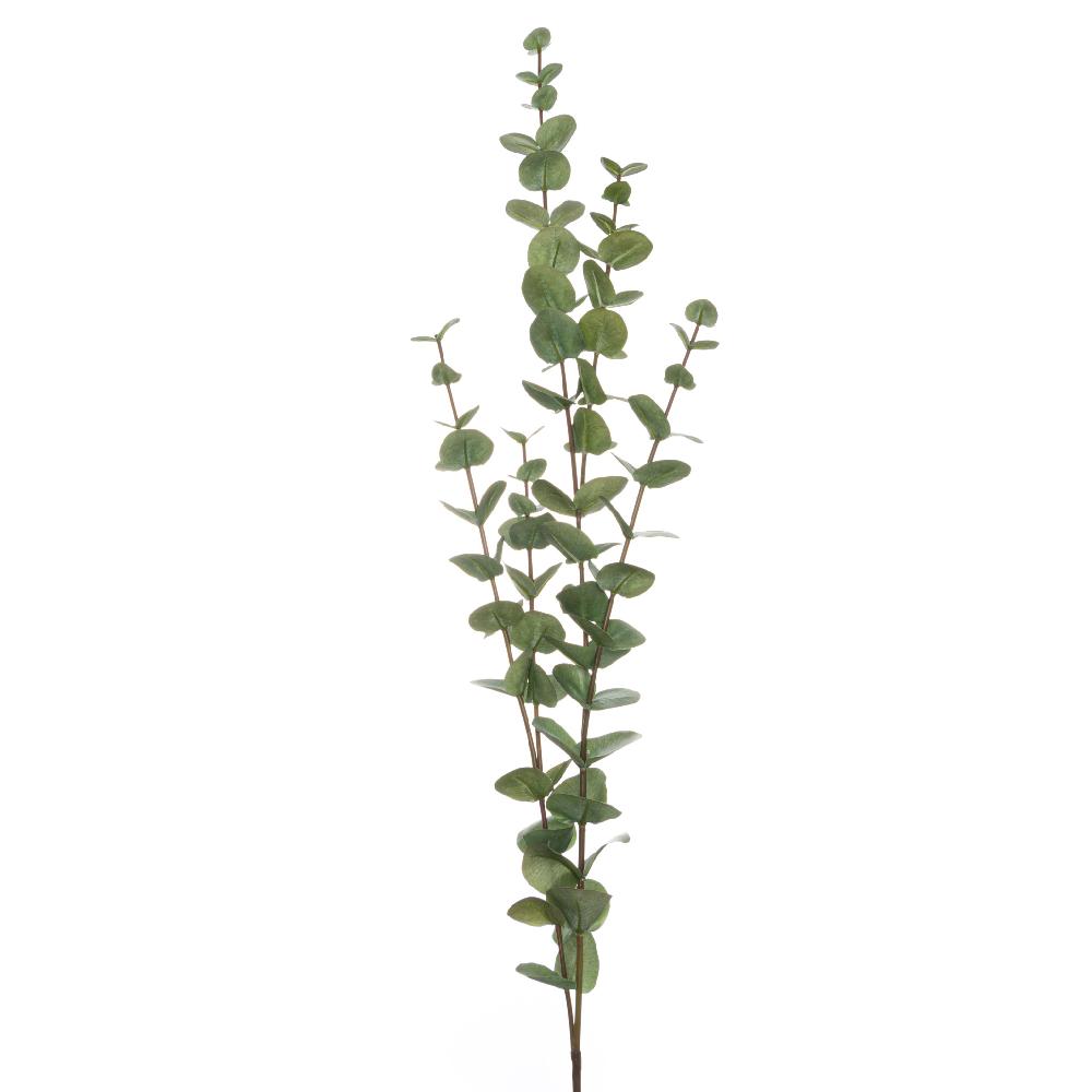 hill interiors Large Cineraria Eucalyptus Spray