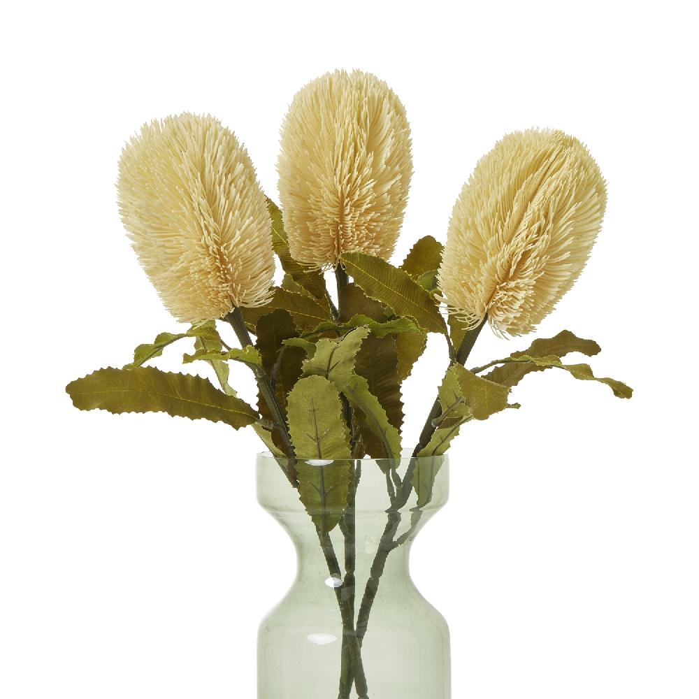 Hill Interiors Large Cream Banksia Serrata Stem