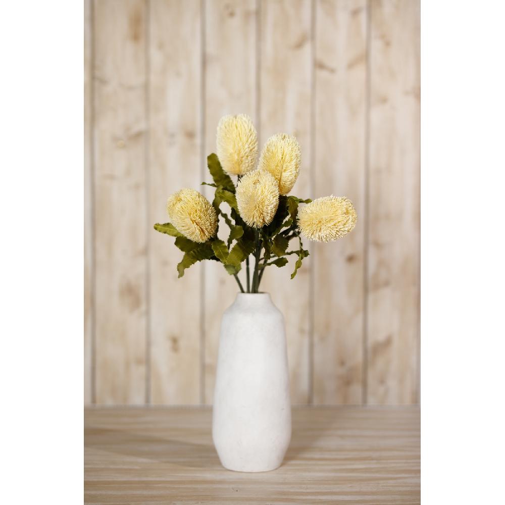 Hill Interiors Large Cream Banksia Serrata Stem