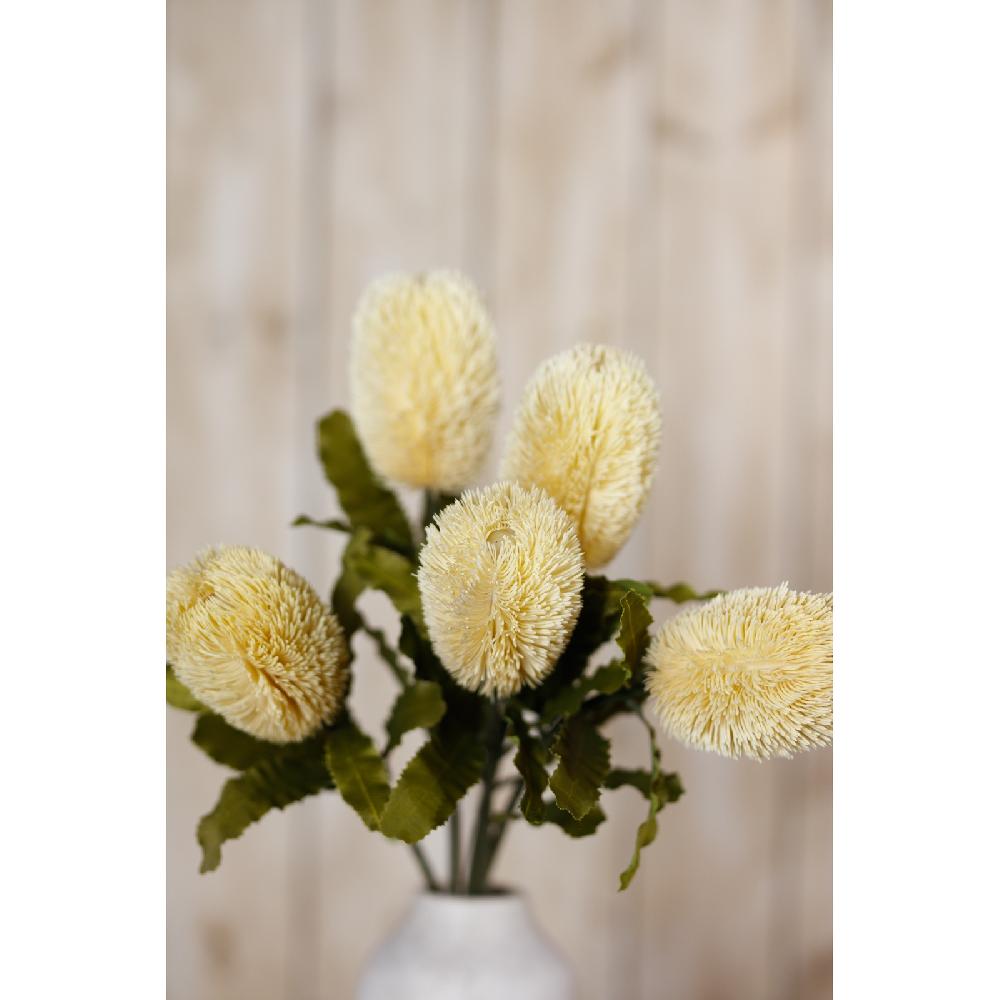 Hill Interiors Large Cream Banksia Serrata Stem