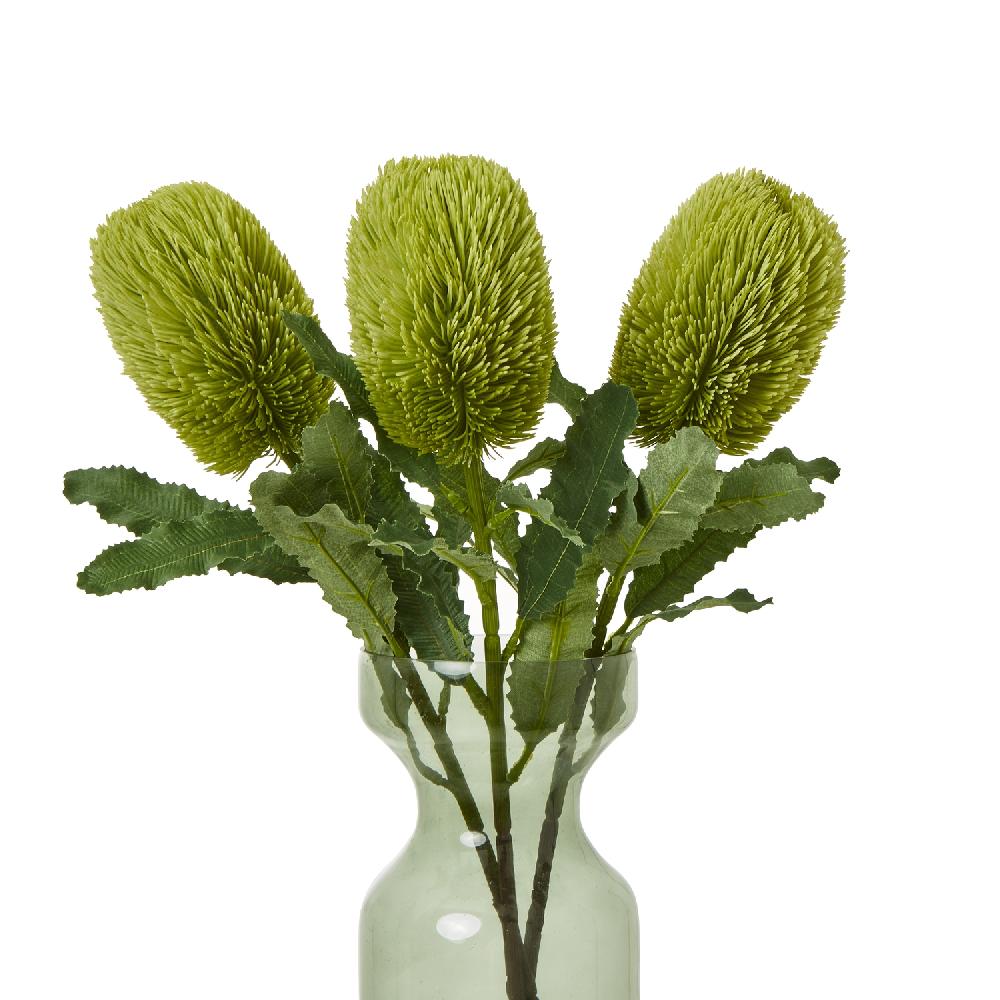 Hill Interiors Large Green Banksia Serrata Stem