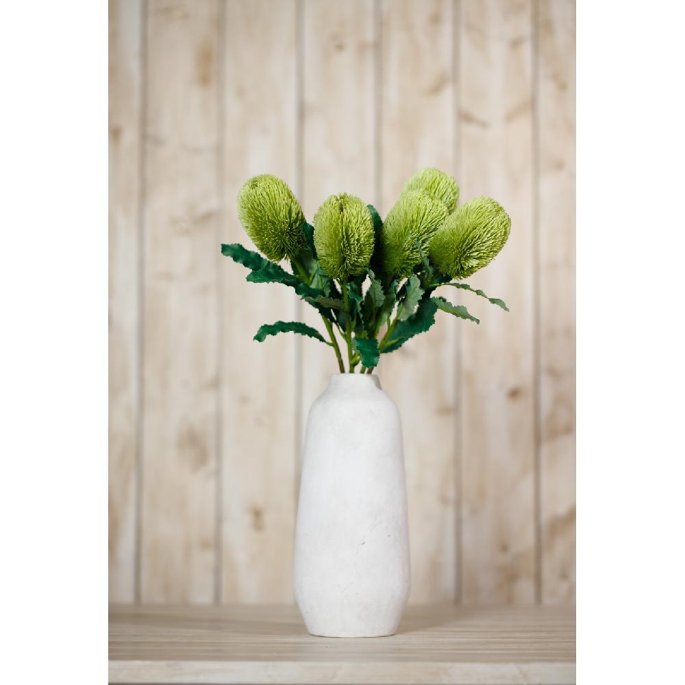 Hill Interiors Large Green Banksia Serrata Stem