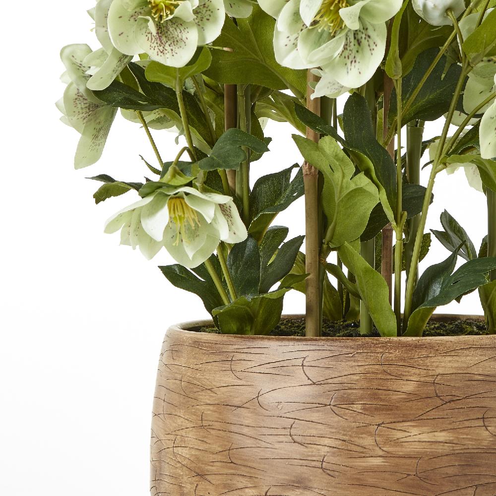 Hill Interiors Large Green Hellebore In Taupe Pot