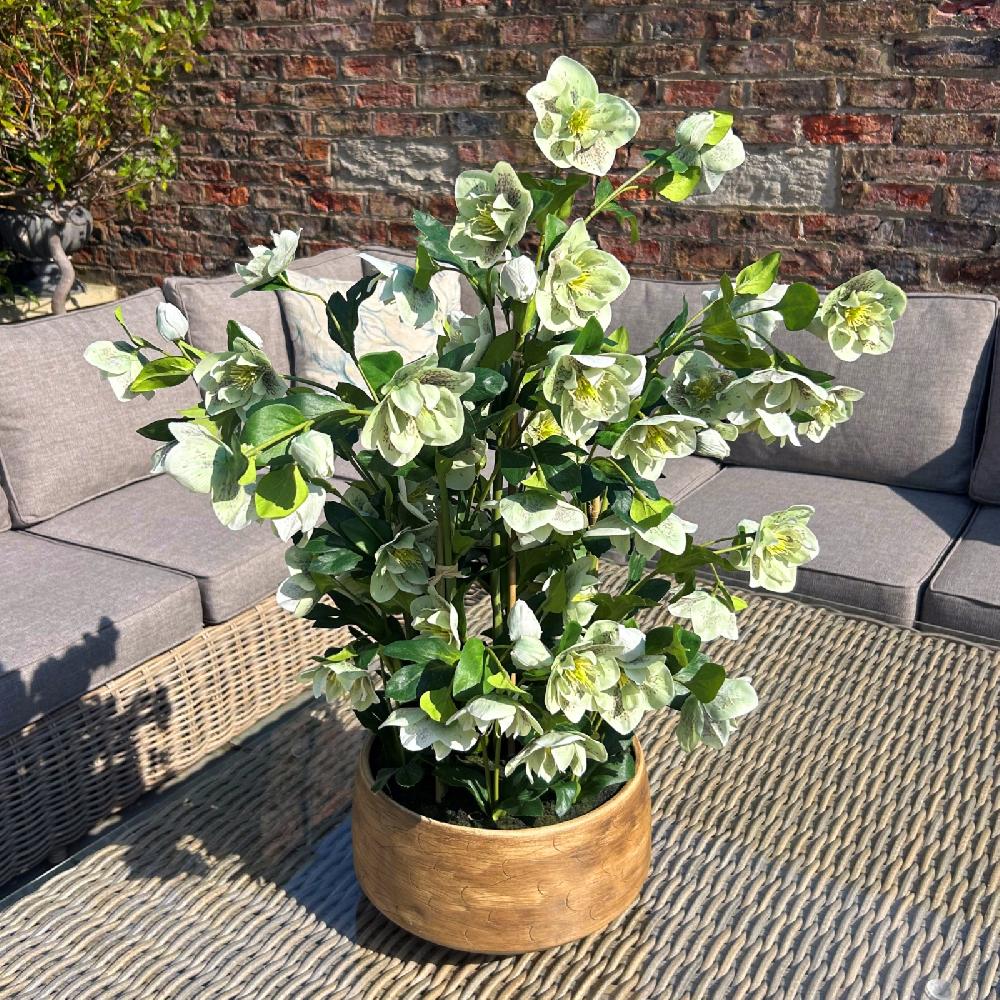 hill interiors Large Green Hellebore in Taupe Pot