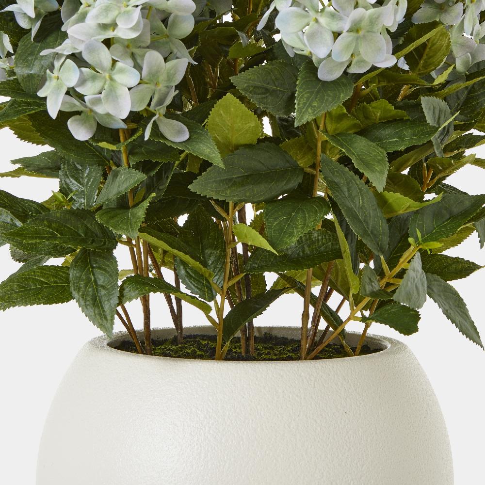 Hill Interiors Large Green Hydrangea Plant In Pot