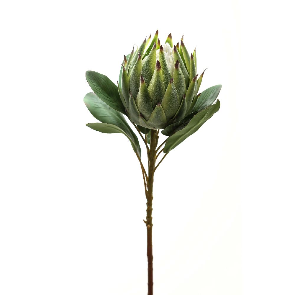 hill interiors Large Green Protea