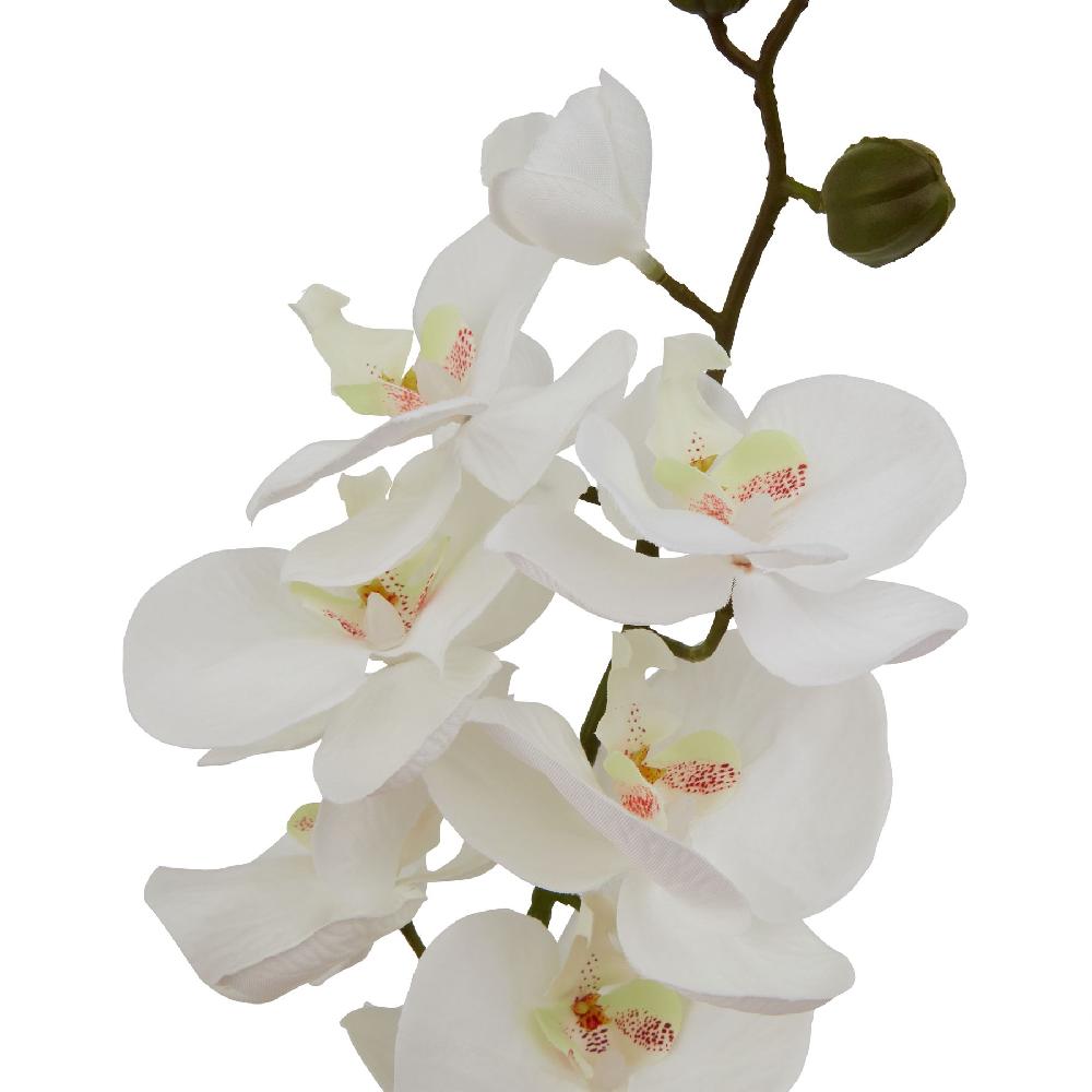 hill interiors Large White Butterfly Orchid Stem