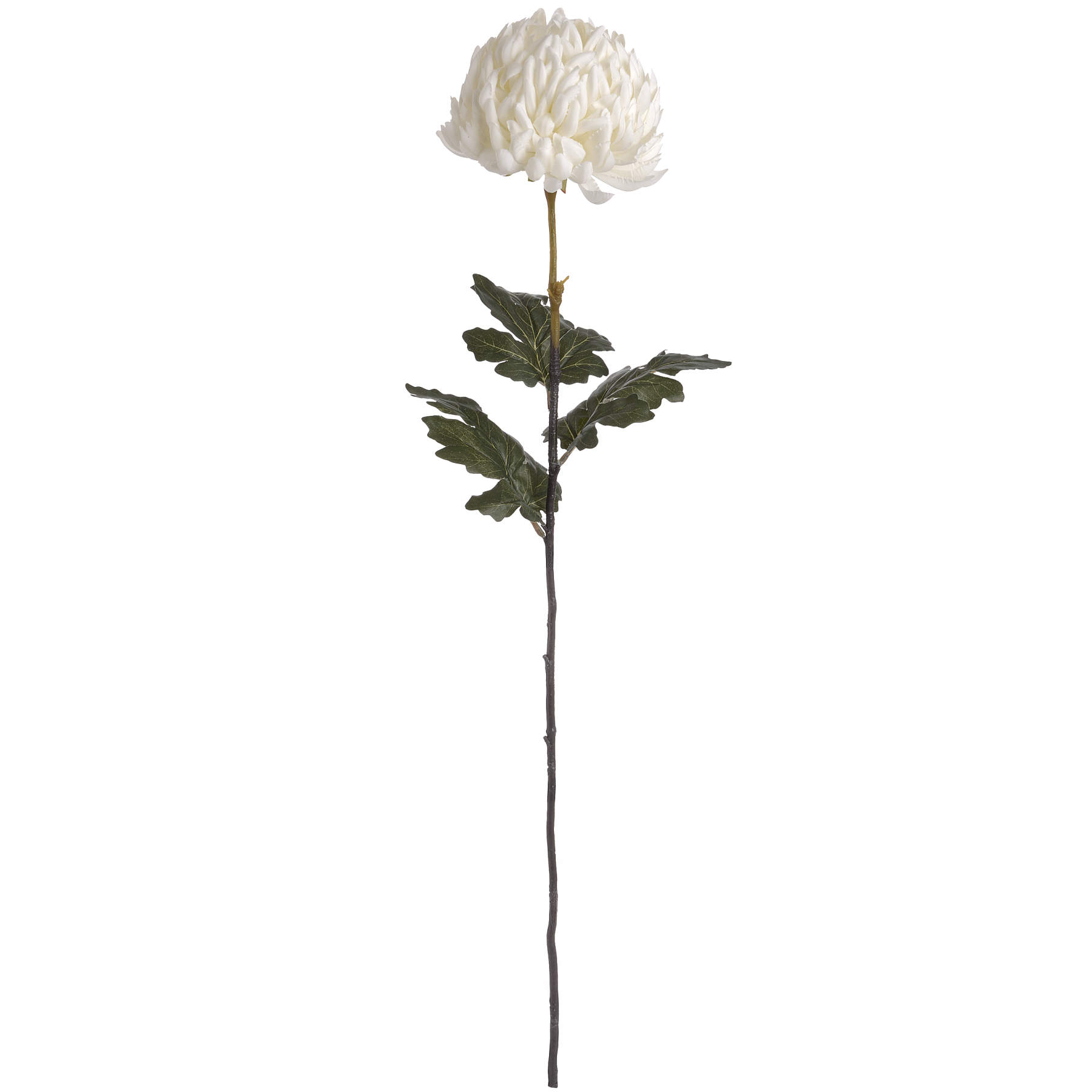 Hill Interiors Large White Chrysanthemum