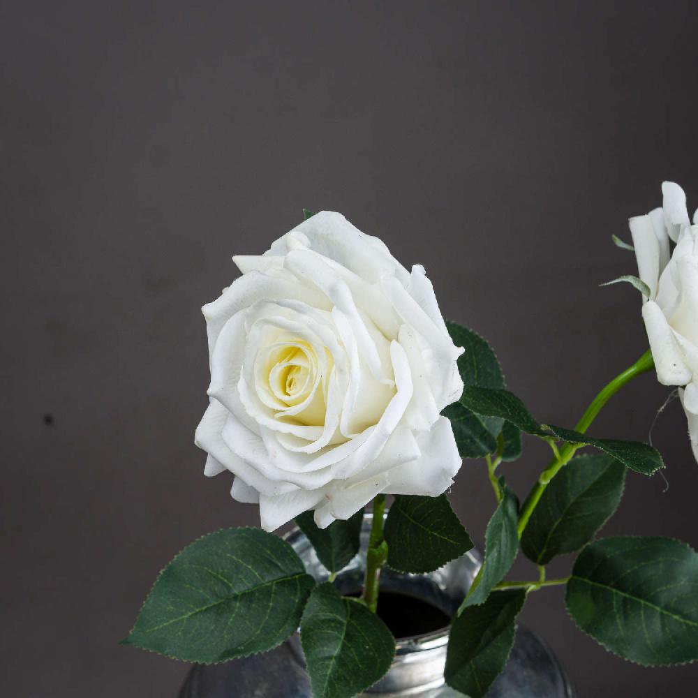 hill interiors Large White Garden Rose