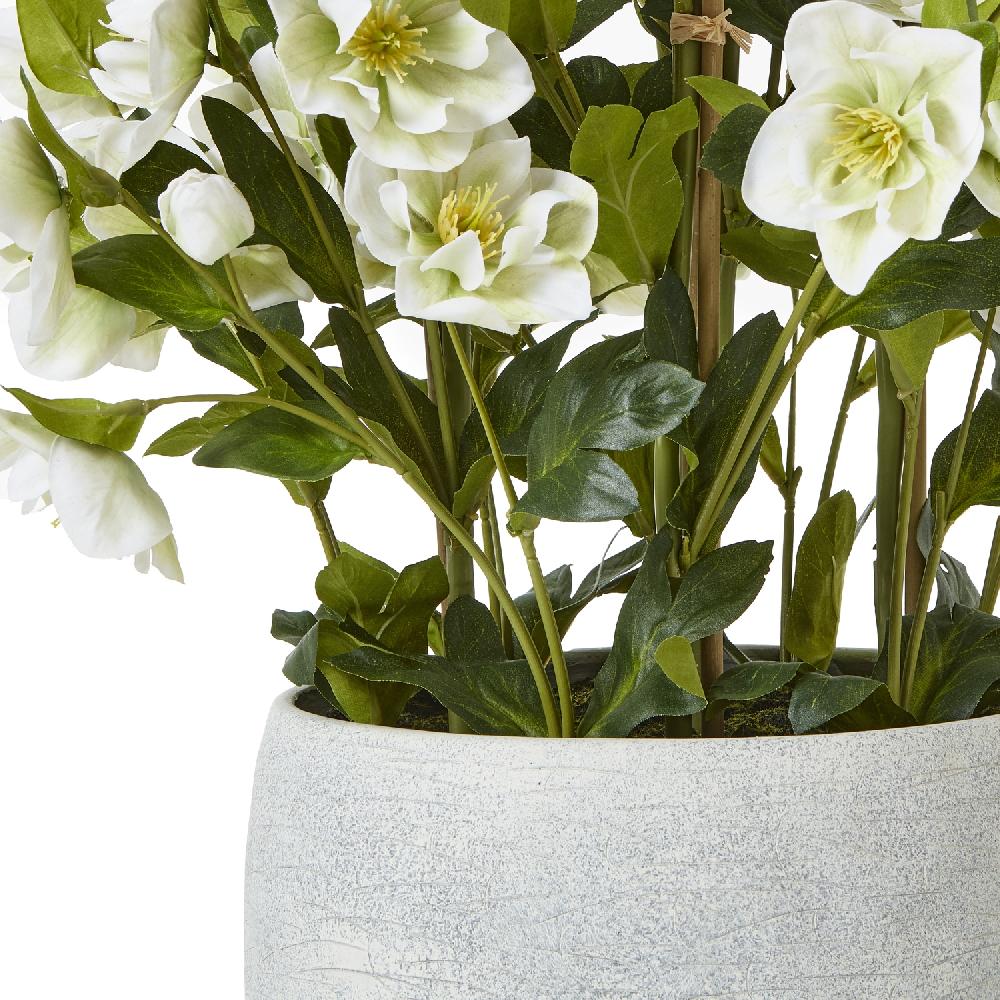 Hill Interiors Large White Hellebore In Grey Pot