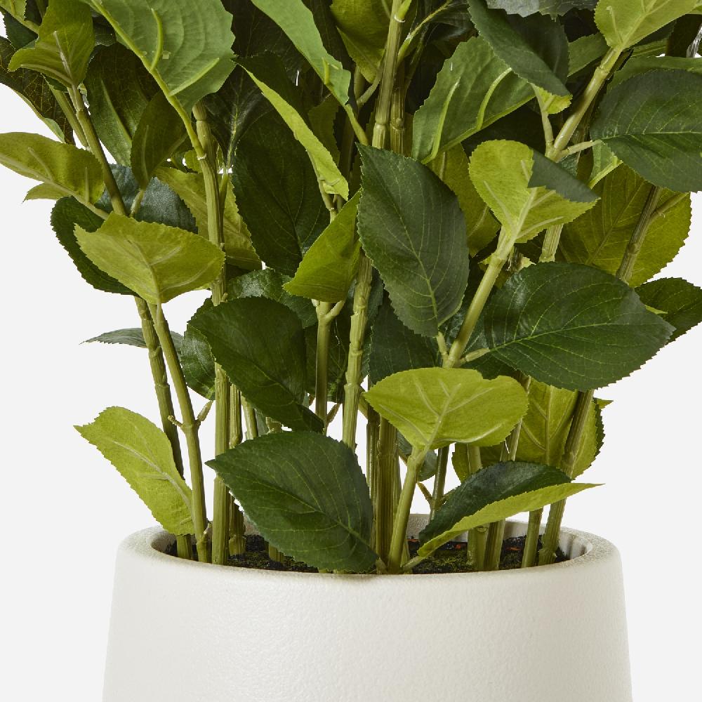 Hill Interiors Large White Hydrangea Plant In Pot