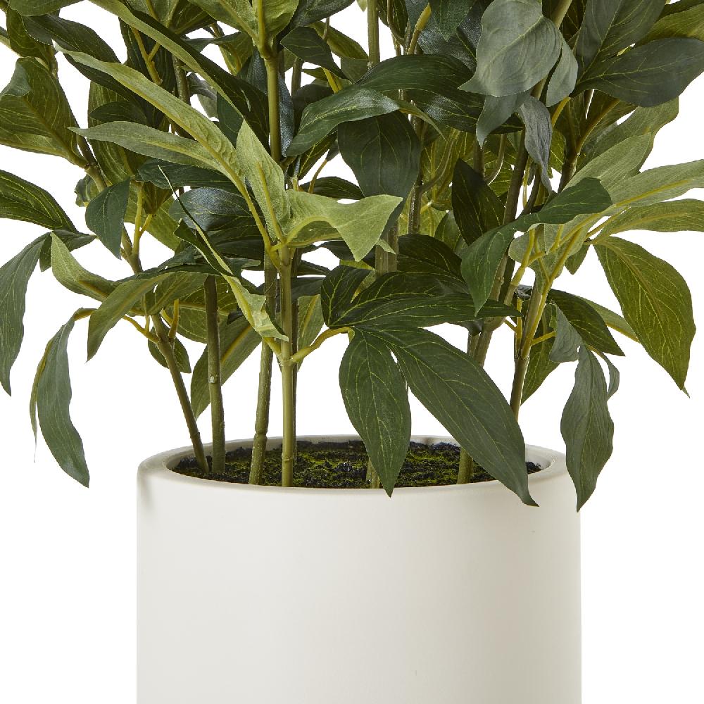 Hill Interiors Large White Peony Plant In Pot