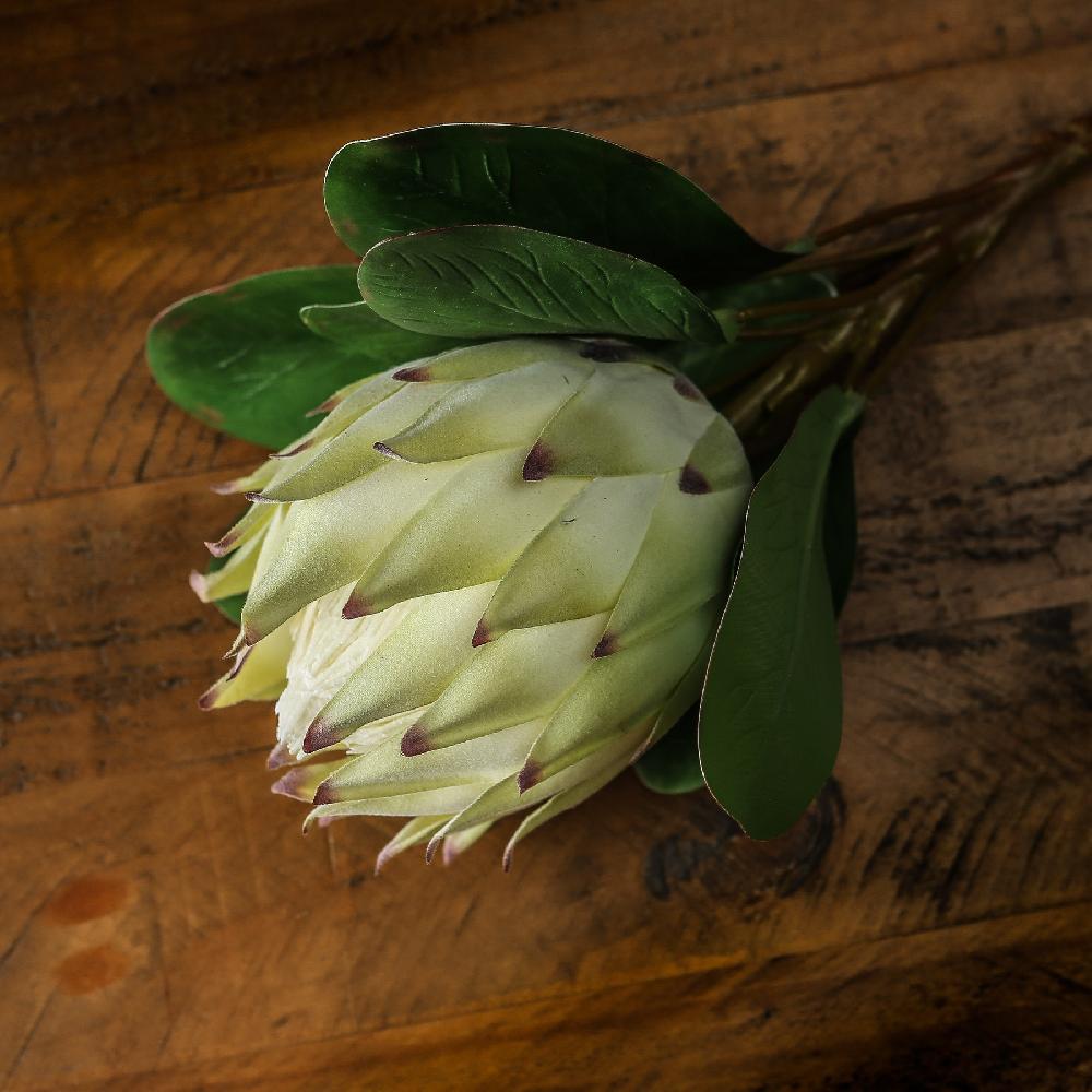 Hill Interiors Large White Protea