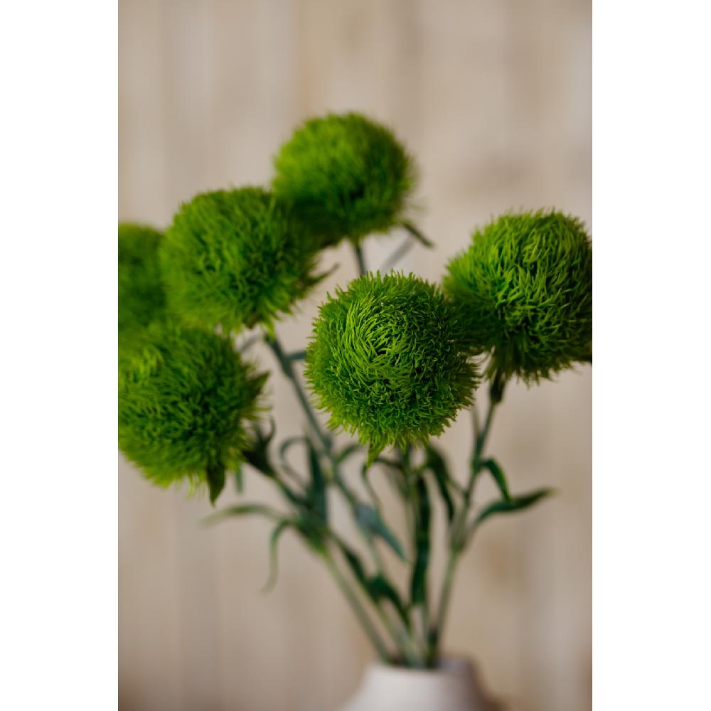 Hill Interiors Light Green Dianthus Stem