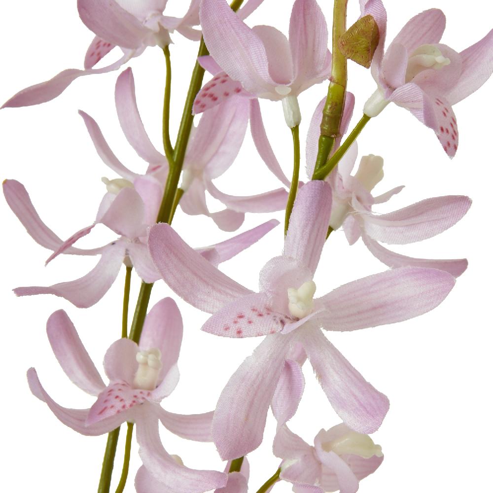 hill interiors Lilac Cymbidium Spray