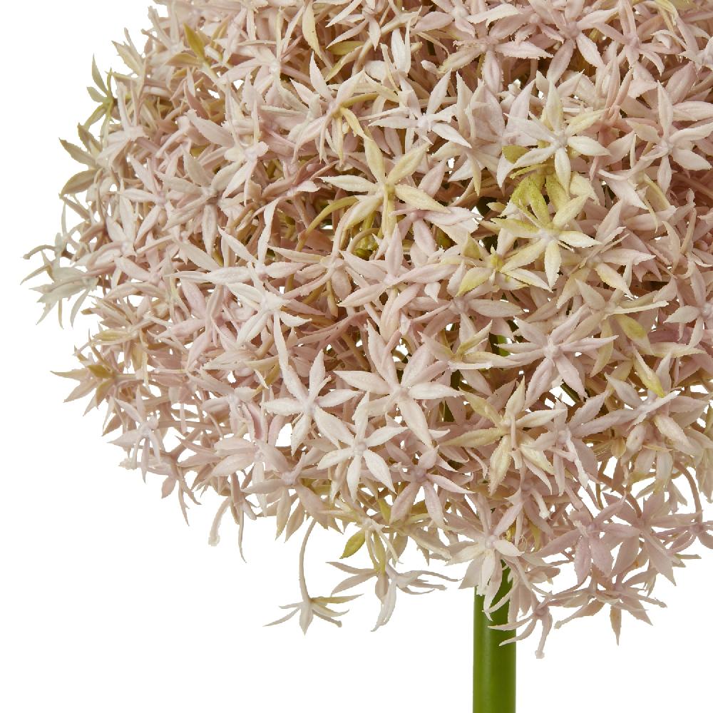 hill interiors Lilac Giant Allium Stem