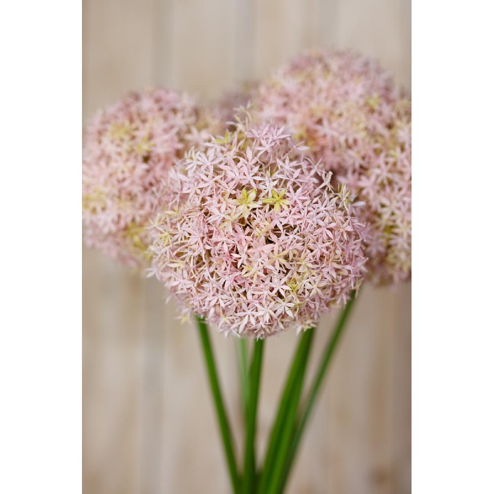 Hill Interiors Lilac Medium Allium Stem
