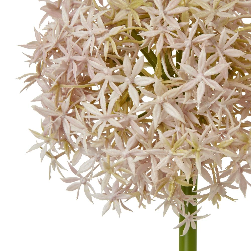hill interiors Lilac Medium Allium Stem