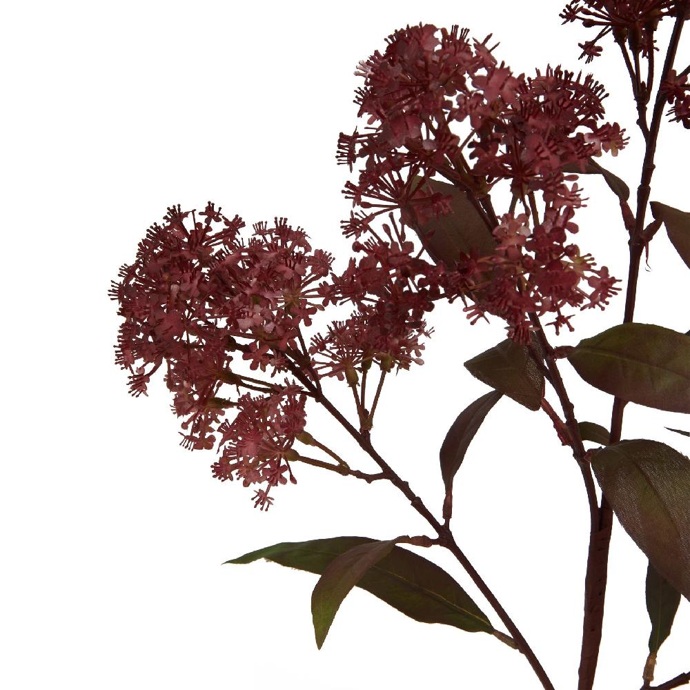 hill interiors Medium Burgundy Smokebush Stem
