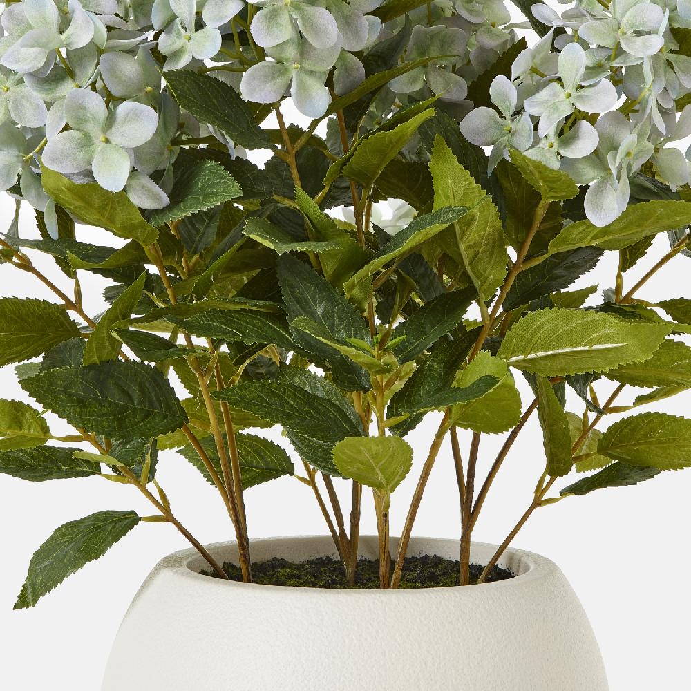 Hill Interiors Medium Green Hydrangea Plant In Pot