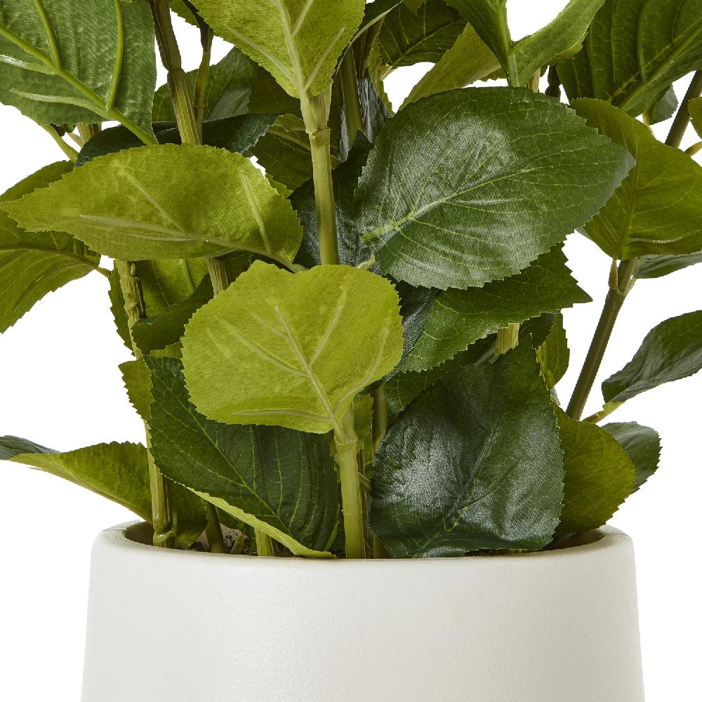 Hill Interiors Medium White Hydrangea Plant In Pot