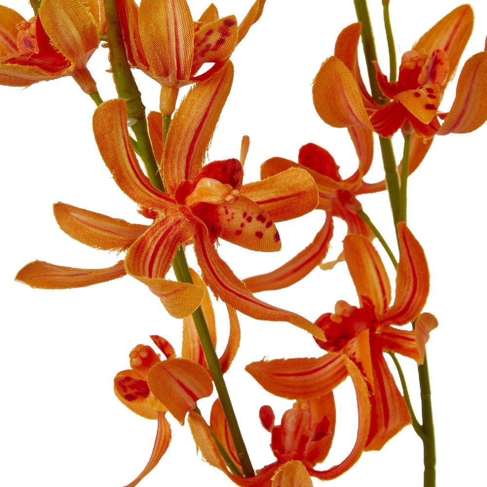 hill interiors Orange Cymbidium Spray