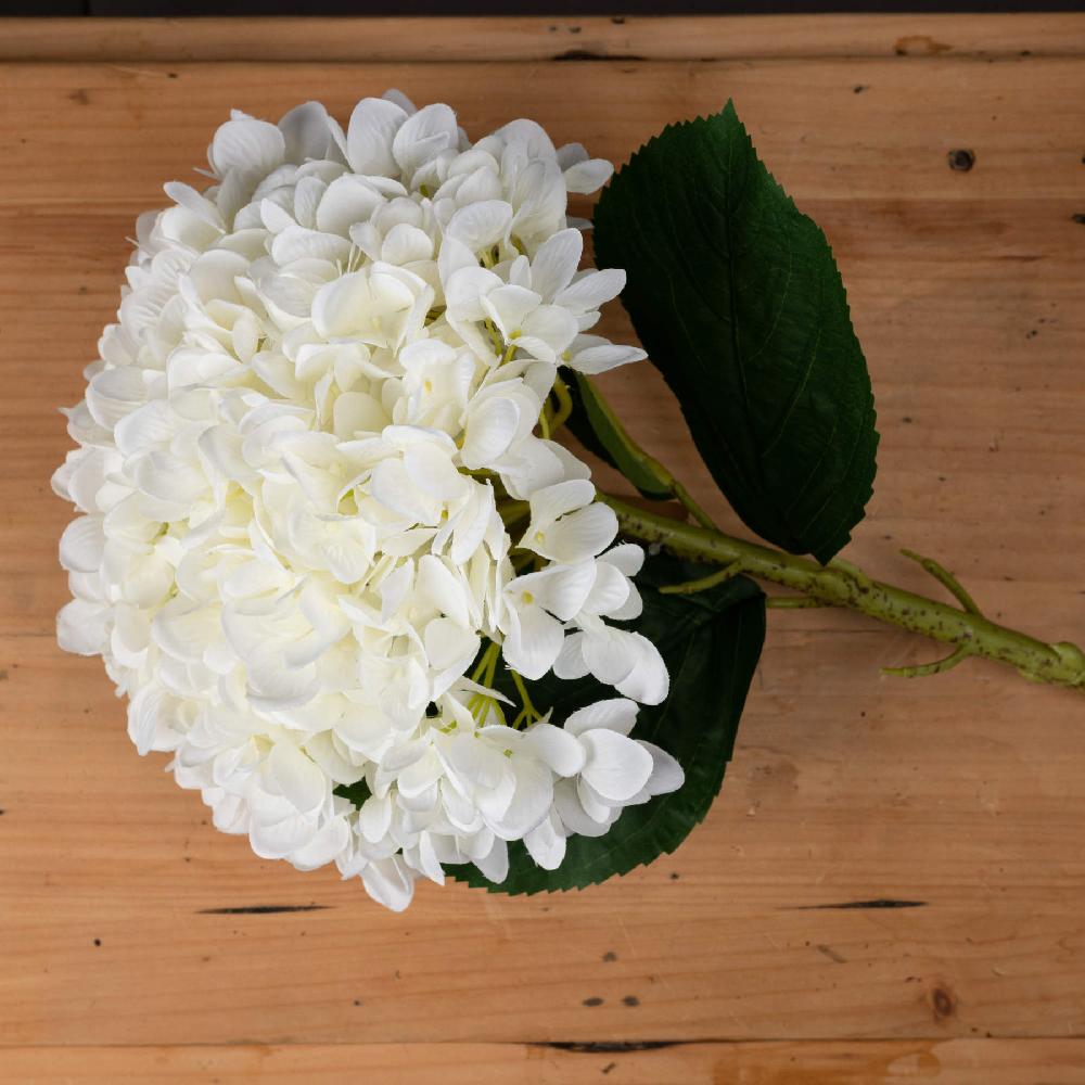 hill interiors Oversized White Hydrangea
