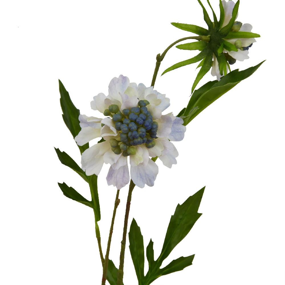 hill interiors Pale Blue Scabious Stem