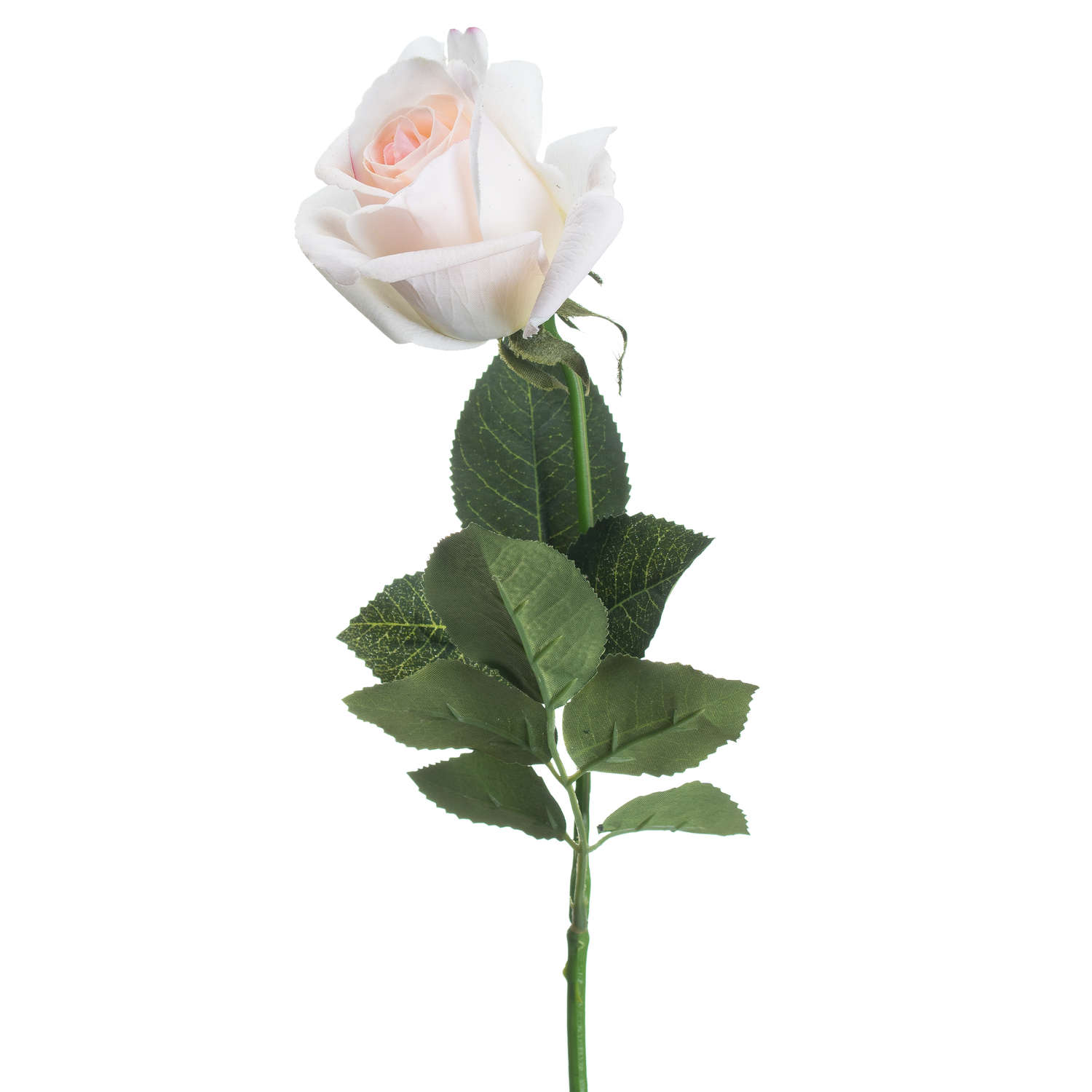 Hill Interiors Palest Pink Tea Rose