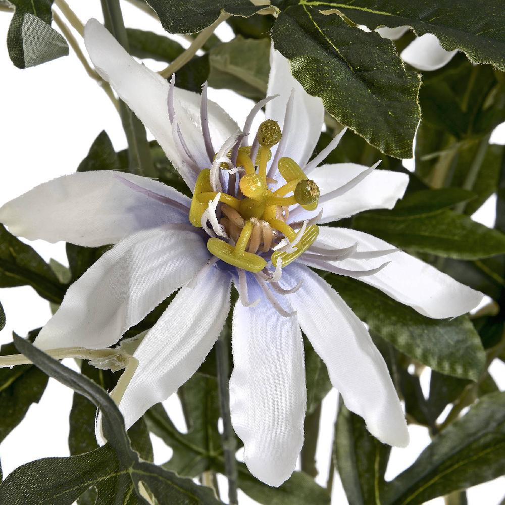 Hill Interiors Passion Flower Spray