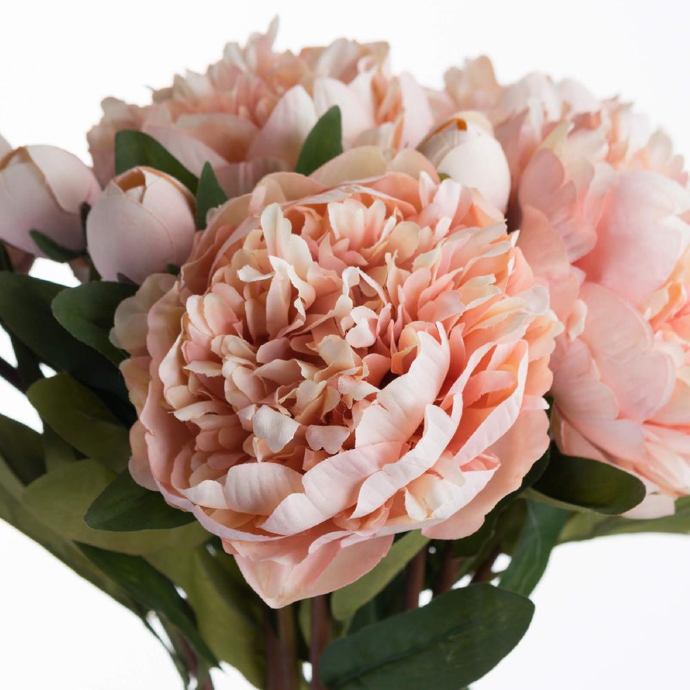 Hill Interiors Peach Peony Rose