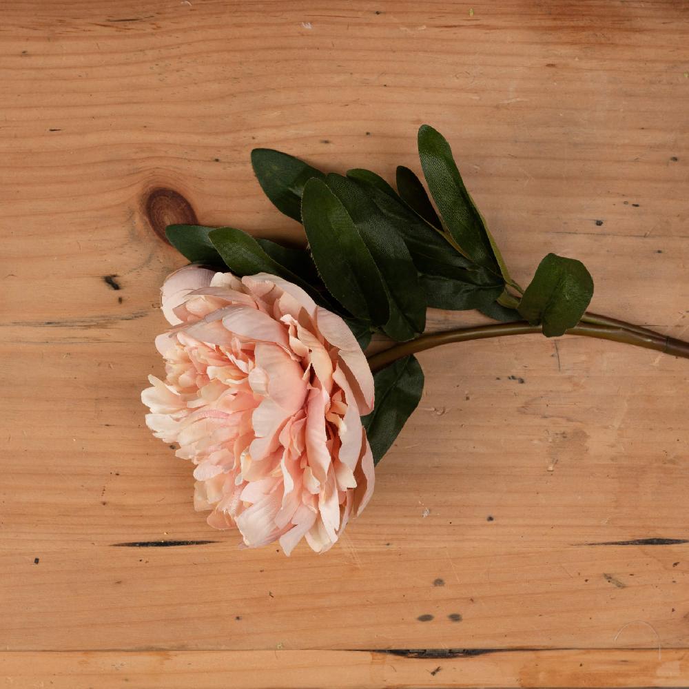 hill interiors Peach Peony Rose
