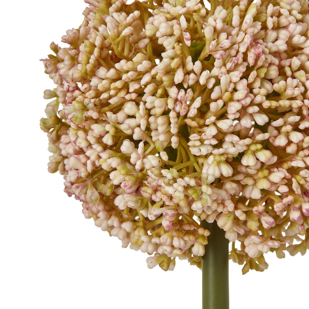 hill interiors Pink Allium Stem