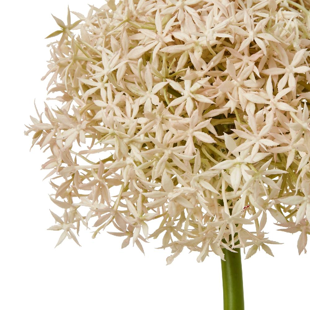 hill interiors Pink Giant Allium Stem