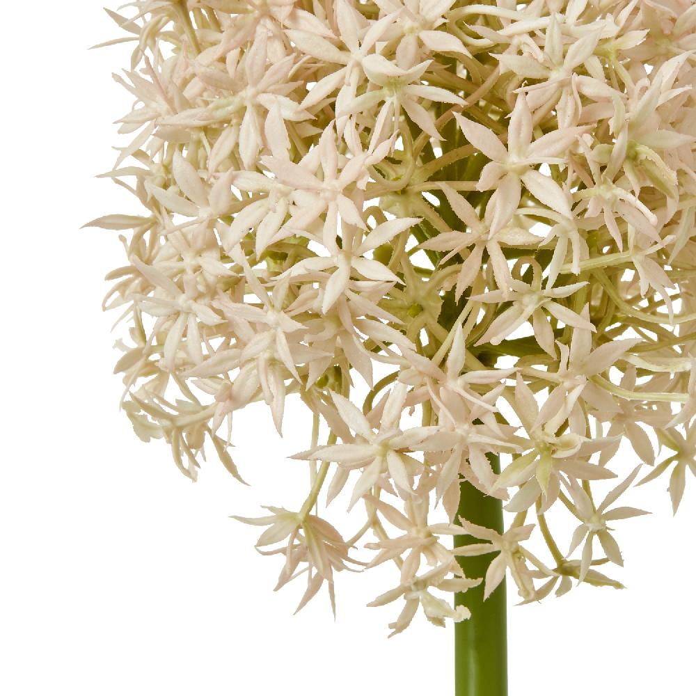 hill interiors Pink Medium Allium Stem