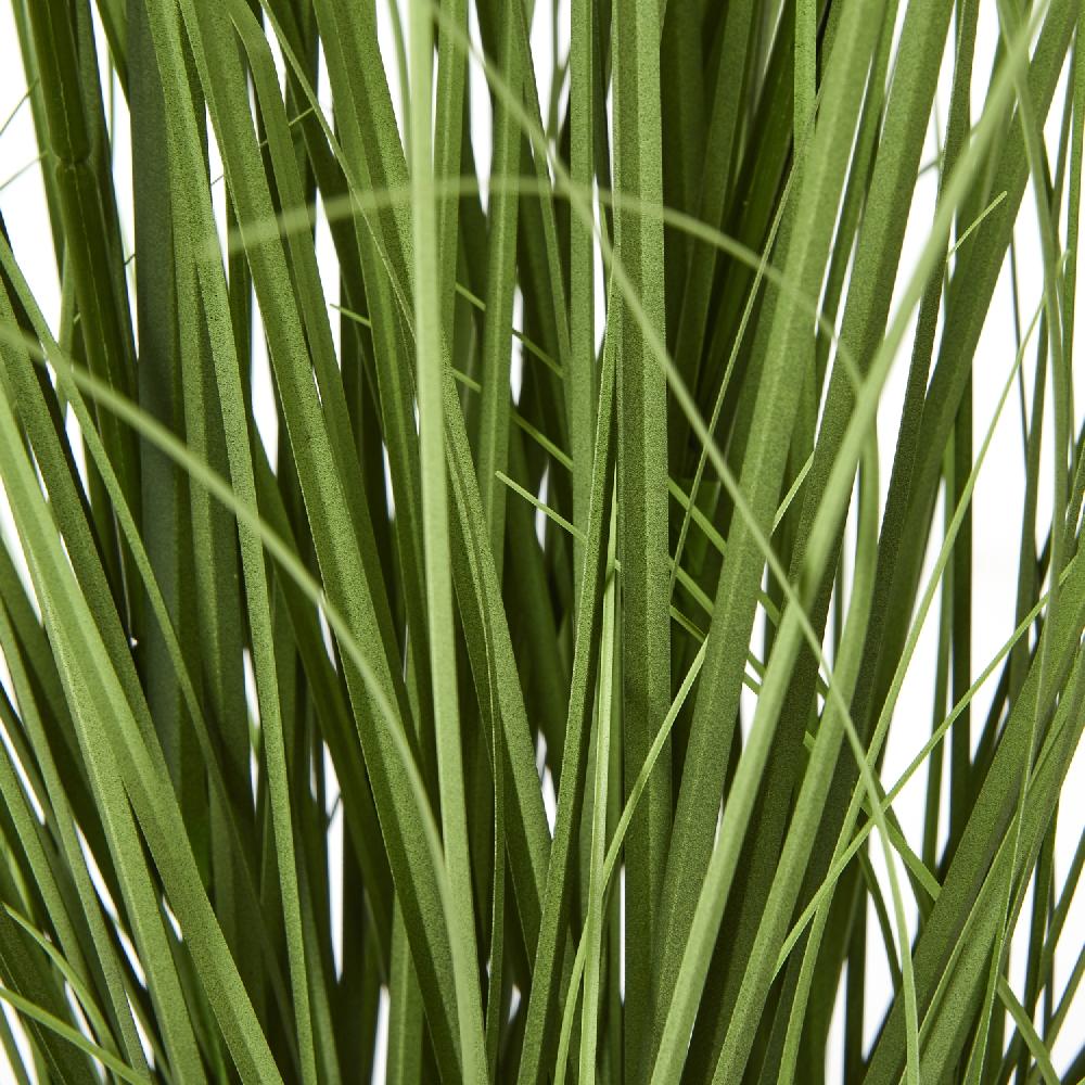 Hill Interiors Purple Agapanthus Plant In Pot