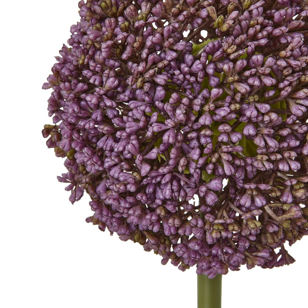 hill interiors Purple Allium Stem